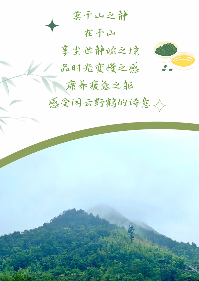 心心念廿 相伴AG尊龙凯时 | 与德清相约 贺廿载诞辰