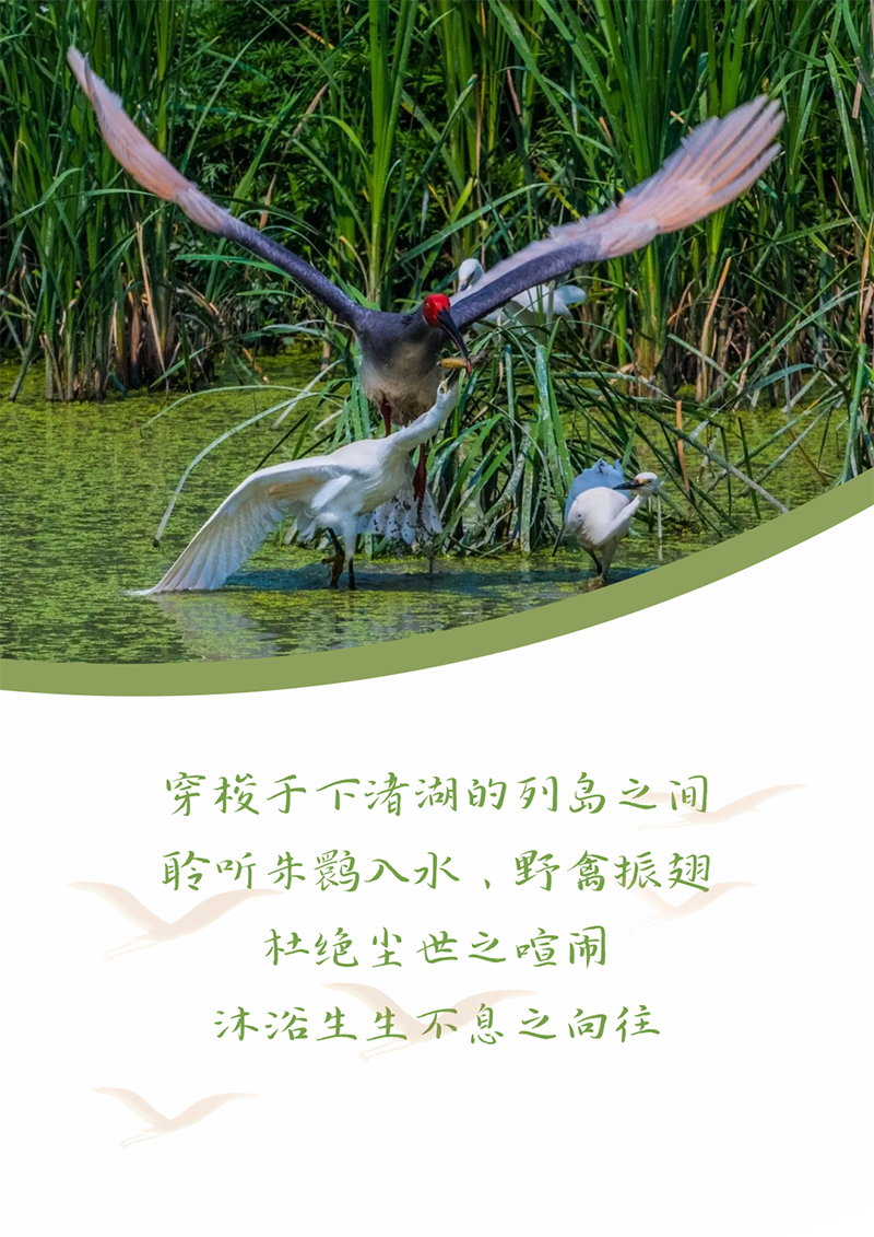 心心念廿 相伴AG尊龙凯时 | 与德清相约 贺廿载诞辰